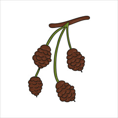 Wall Mural - Vector line alder tree element isolated on white background. Botanical illustration of alder cone. Black and white clip art.