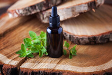 Oregano Essential Oil And Fresh Leaves - Beauty Treatment