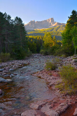 Wall Mural - Selva de Oza (Huesca) - 03