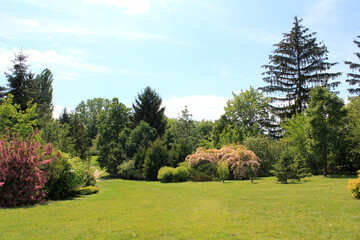 Park place to relax with green grass and trees