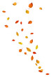 Autumn leaves fall clip art on white background