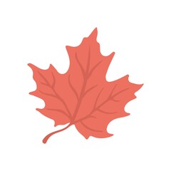 red maple leaf icon in flat design style. illustration for an autumn symbol, a seasonal themed conce