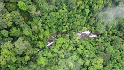 Wall Mural - Aerial drone footage of waterfall and river in rainforest	