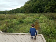 Boy Child In Blue Shirt Crouching Down On Wood Walkway In Wetland Area With Green Plants