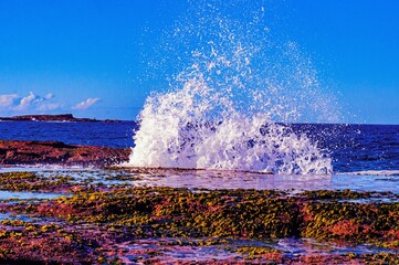 Canvas Print - Splashes of the foamy waves of the sea