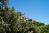 Fototapeta  - ruins of the castle