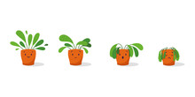 Cute Sad Wilted Plant In A Pot. Stages Of Withering, Abandoned And Scared Houseplant Without Watering And Care. Potted Plant Dying. Vector Illustration