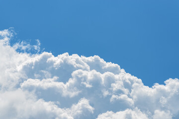 Wall Mural - cumulus cloud relief on a smooth background of clear summer sky. upper part of white fluffy cloud ag