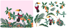 Set For Design Of Tropical Elements With Exotic Flowers, Mango Fruits On Creepers, Bird Of Paradise Toucan. Leaves Of Palm And Deliciosa. On A White Background Isolated