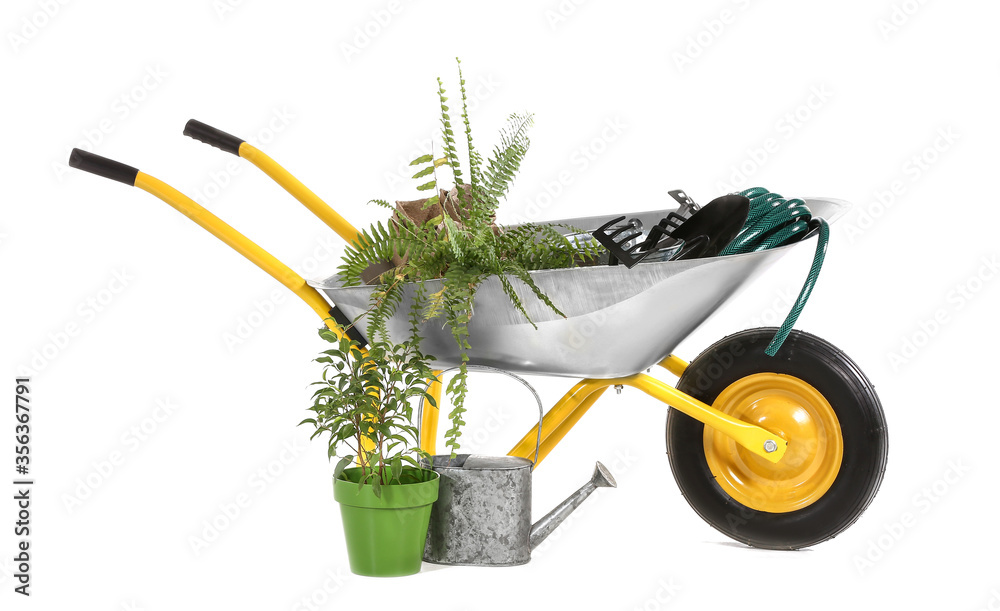 Set of gardening supplies on white background