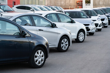 Wall Mural - Cars in a row. Used car sales