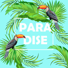 Trendy Tropical Composition With Paradadise Text. Exotic Background With Palm Leaves, Frame And Birds.