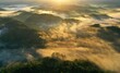 Scenery of forest with low clouds on the morning from aerial scene.