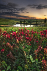 Wall Mural - Spring fields on hills and sunset