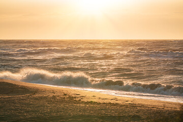 Wall Mural - Big waves on an empty summer beach