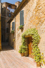 Wall Mural - Sunny streets with colorful flowers with contrasting shades. Walk the Tuscan town