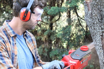 Wall Mural - Lumberjack working with a chainsaw 