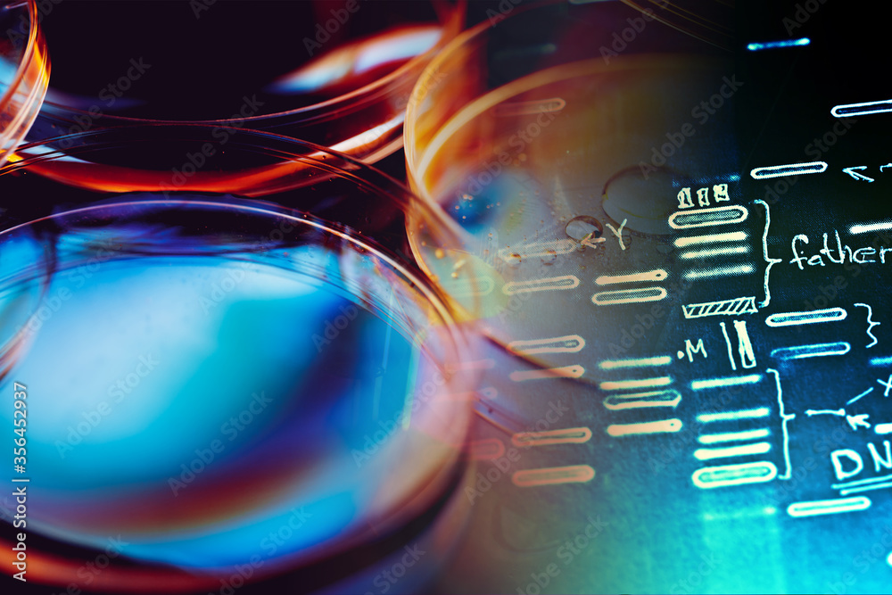 Dna Text Box DNA encoding. Text with nucleobases. Stock Photo | Adobe Stock