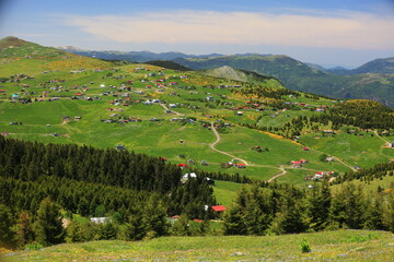 Sticker - The magnificent nature of the Black Sea