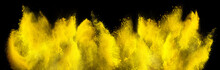 Yellow Holi Paint Color Powder Explosion Isolated  Dark Black Background. Industry Beautiful Party Festival Concept
