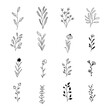 © Selma - Set of Rustic Vintage Hand drawn florals and laurels. Can be used for wedding invitations, scrapbooking, wrapping.