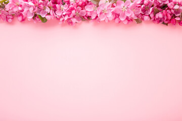 Wall Mural - Fresh branches of apple blossoms on light pink table background. Pastel color. Flat lay. Closeup. Empty place for inspirational text, lovely quote or positive sayings. Top down view.