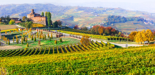 Canvas Print - Golden vineyards and medieval castles of Piedmont. famous wine region of northern Italy