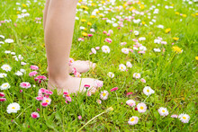 Small Baby Bare Legs,feet Of Little Girl In Grass With Flowers Of Daisies.Summer Concept.Kids Walk In Garden,field,meadow.Quarantine End,coronavirus Covid-19.Staycation In Vacation Home,country House