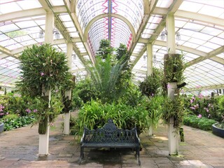 greenhouse with flowers, botanical garden, mexico city