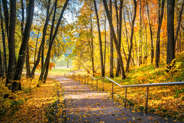 Wall Mural - Stairs down in the autumn park Tsaritsyno in Moscow