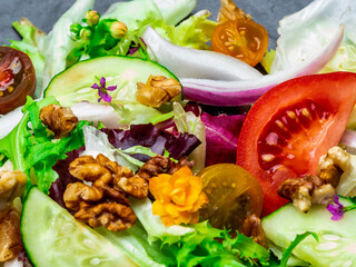 Wall Mural - Salad of different types of lettuce