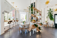 Interior Design Of Contemporary Light Restaurant With Pots In Wooden Box As Decorations And Golden Lamps On White Ceilings Above Tables With Chairs