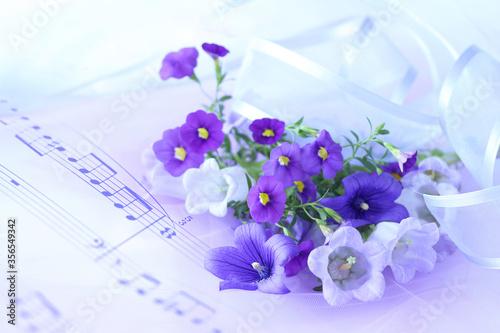 楽譜とキキョウ カンパニュラ サフィニアの紫色の花束 Foto De Stock Adobe Stock