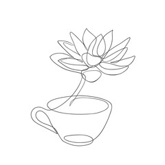 Wall Mural - Succulent plants in the tea cup one line drawing. Echeveria kalanchoe succulent house plants Continuous line art.