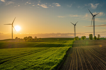 wind turbines farm in sunset