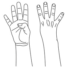 Wall Mural - number four, hand gesture in various sides view. concept of finger counting on sign language. vector