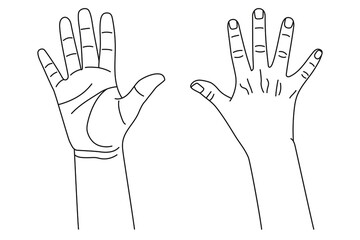 Wall Mural - number five, hand gesture in various sides view. concept of finger counting on sign language. vector