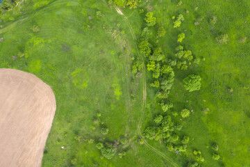 Wall Mural - wild field, view from above