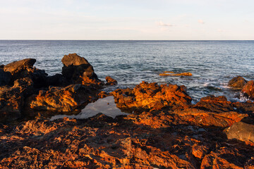 nature around the elba island