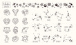 Zodiac signs. Vector Hand Drawn. Collection zodiacal animals illustration. Constellations. Aries, Taurus, Leo, Gemini, Virgo, Scorpio, Libra, Aquarius, Sagittarius, Pisces, Capricorn, Cancer.