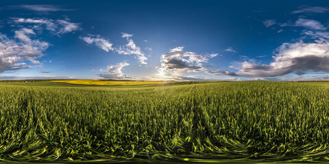 Wall Mural - full seamless spherical hdri panorama 360 degrees angle view among fields in spring evening with awesome clouds before sunset in equirectangular projection, for VR AR virtual reality content