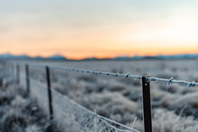 Frosty Barbed Wire Fence
