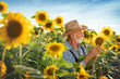 Farmer looking at sunflower seeds
