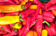 Tafeln: Blick auf eine Auswahl nicht verkaufter, älterer Paprika als Lebensmittel Spende für Bedürftige