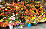 Fototapeta  - Beautiful bright bouquets of flowers on the street for sale. Munich, Germany.