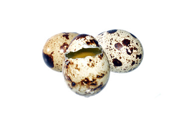 quail eggs isolated on white background