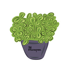 Wall Mural - Fresh young sprouts various plants, a microgreen sandwich. Microgreen healthy food. Vegetarian food. Stamp for packaging design. Vector illustration