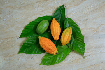 Fresh ripe tasty sweet cocoa fruits with leaves isolated on floor background