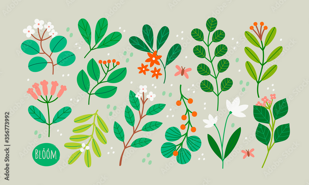Various Branches with Flowers, Leaves and Berries. Hand drawn Vector ...