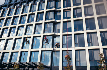 workers hang on ropes and wash large windows near a tall office building